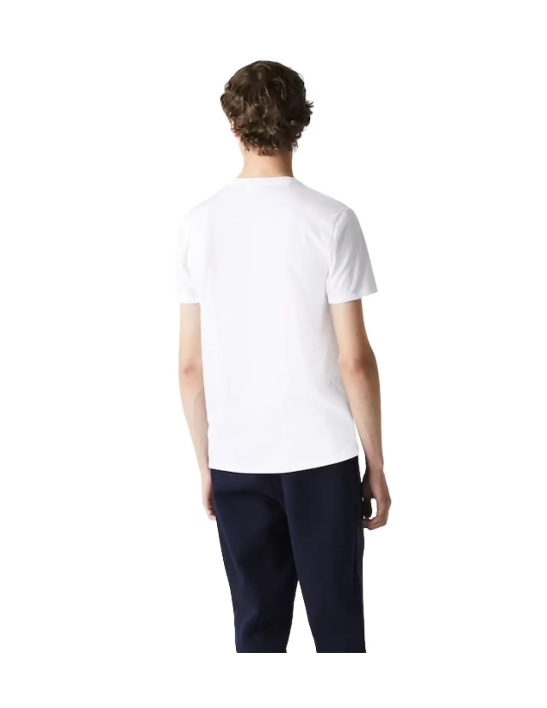 T shirt Lacoste Homme Ref 55164 Blanc